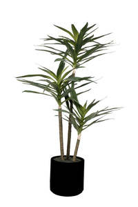 Dracaena Arborea 86cm – Faux Plant in Black Pot