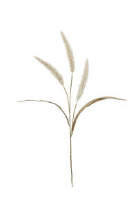Fountain Grass Stem 94cm Cream | Faux Floral