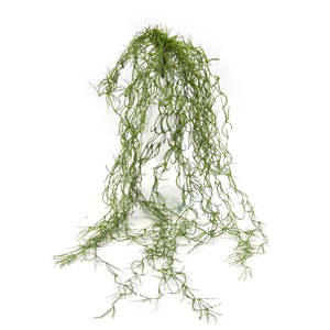 Artificial Flora: Artificial Spanish Moss – Faux Tillandsia Hanging Plant | 75cm