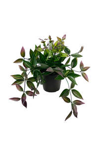 Wandering Dew Potted Plant | Green and Purple Faux Houseplant
