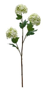 Viburnum Stem – White Faux Flower (90cm)