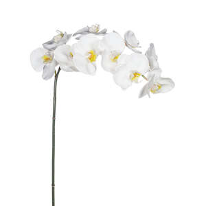 Gift Ideas For The Homebody: White Phalaenopsis Orchid Stem – Large Faux Bloom with 9 Flowers (95cm)