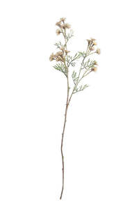 For The Boho Babe: Daisy Artificial Spray - Cream | 89cm