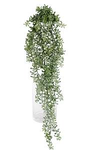 Mothers Day: Crescent Hanging Succulent – 74cm Artificial Trailing Greenery