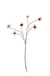 Rudbeckia Spray Faux Flower Stem, Dusky Pink 114cm