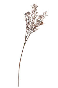 For The Boho Babe: Talinum Spray – 79cm Faux Dried Botanical