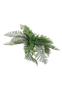 Leather Fern Bush - 38cm Faux Rumohra Foliage