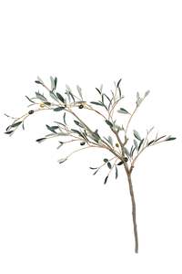 For The Green Finger: Olive Leaf Branch - 120cm Faux Foliage Stem