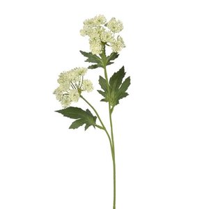 Queen Anne's Lace Stem, Light Green 49cm Faux Flower
