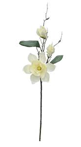 For The Home Stylist: Chateau Magnolia Stem, Ivory 80cm Faux Flower