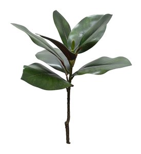 For The Home Stylist: Magnolia Leaf Branch, Deep Green 50cm Faux Foliage