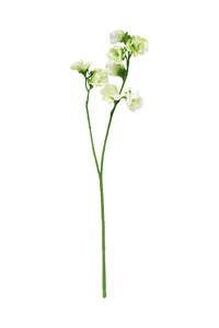 Outdoors: Sweet Pea Stem, Cream 40cm Faux Flower with Buds