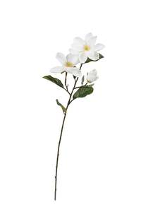 Outdoors: Legacy Magnolia Spray, Cream Faux Stem