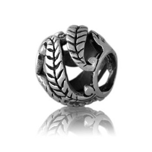 Products: Evolve Forever Charm