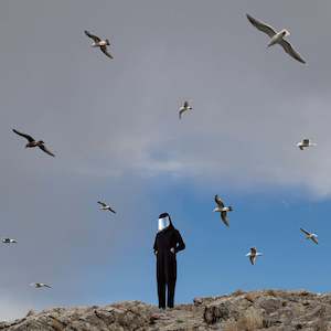 Hamerkop Artist: Hamerkop - Remote