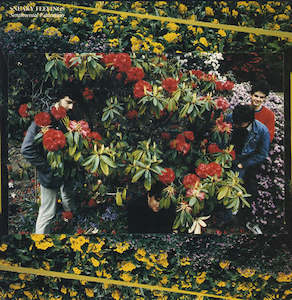 Sneaky Feelings - Sentimental Education (SECONDHAND)