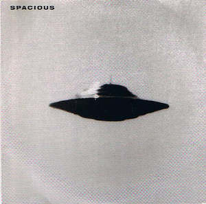 Spacious: FN355 Spacious - Vector 27 ‎(1995)