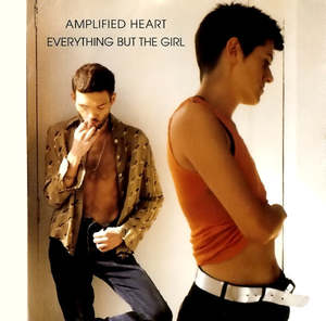 Everything But The Girl - Amplified Heart (SECONDHAND CD)