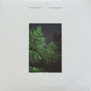 Devendra Banhart, Noah Georgeson – Refuge (SECONDHAND)