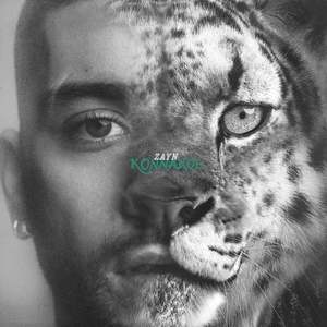 Zayn Konnakol: KONNAKOL (CD)