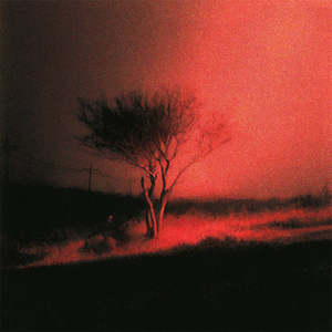 Piss In The Wind (Indie Exclusive Prism Vinyl LP)