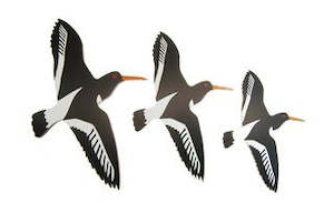 Gifts: Ian blackwell NewZealand Oyster catcher