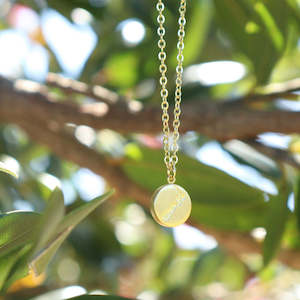 Little Taonga: round NZ map gold