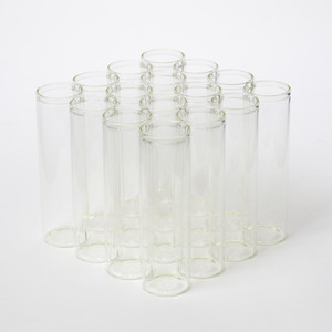 Le Forge Test Tube 16pc Vase Clear - 4x4