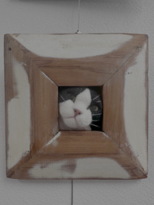 Jackelope Treasures Purfect Frame - Bicolour
