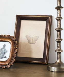 French Country Butterfly Study Wall Art