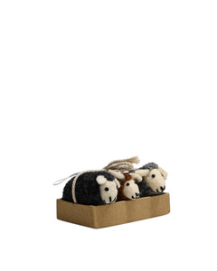 Giftware: Maytime Woolburn Flock of Sheep Boxed Set of 3