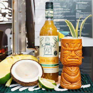 Welcome 10 Discount: Mr Consistent Pina Colada Mixer