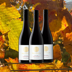 Products: 3 Pack of Ballasalla Pinot Noir 2023 Folding Hill Wines