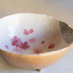 Japanese Ceramics Teacups Noodle Bowls Dinner Plates Platters: Japanese Ceramics | Spring Blossom Bowl (Gift Boxed)