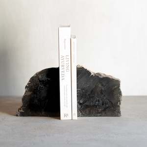 Petrified Wood Bookends |  Set (C)