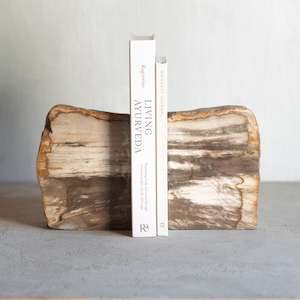 Petrified Wood Bookends |  Set (A)