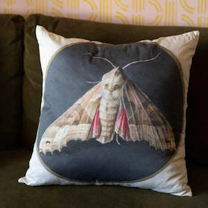 Blankets And Throws: Cushion Cover | Moth Print