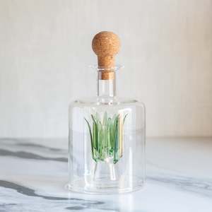 Gifts Under 100: Glass Agave Tequila Decanter