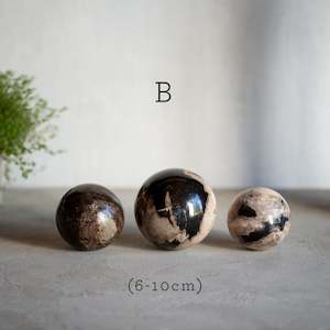 Petrified Wood Balls | Set of Three | Mixed Size
