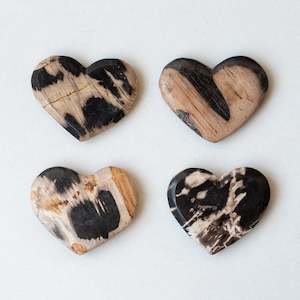 Petrified Wood Love Hearts | Small