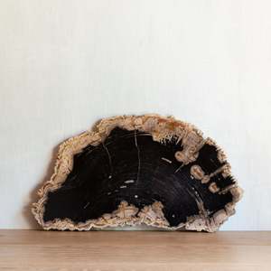 Petrified Wood Slice | Example 'F'