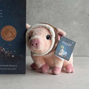Kids Baby: Flying Pig Soft Toy