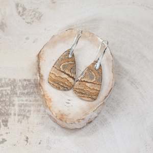 Jewellery: Natural Stone Earrings | Picture Jasper Teardrops