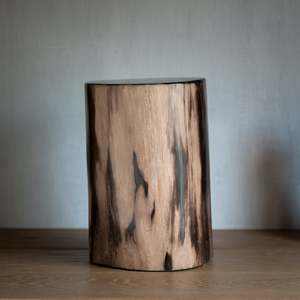 Petrified Wood Plinth | Example 'A'