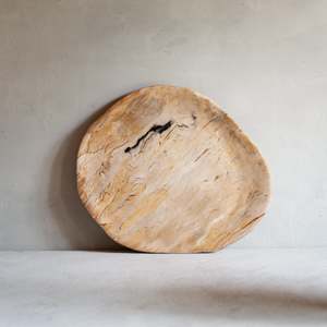 Petrified Wood: Petrified Wood Plate | 'D'