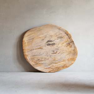 Petrified Wood: Petrified Wood Plate | 'C'