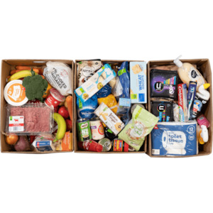 Large Family Food Support