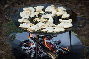 All: Petromax Griddle and Fire Bowl fs38