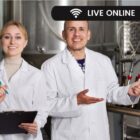 Introduction to Auditing Skills Training