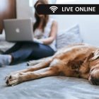 Basic Food Safety and Hygiene Certificate